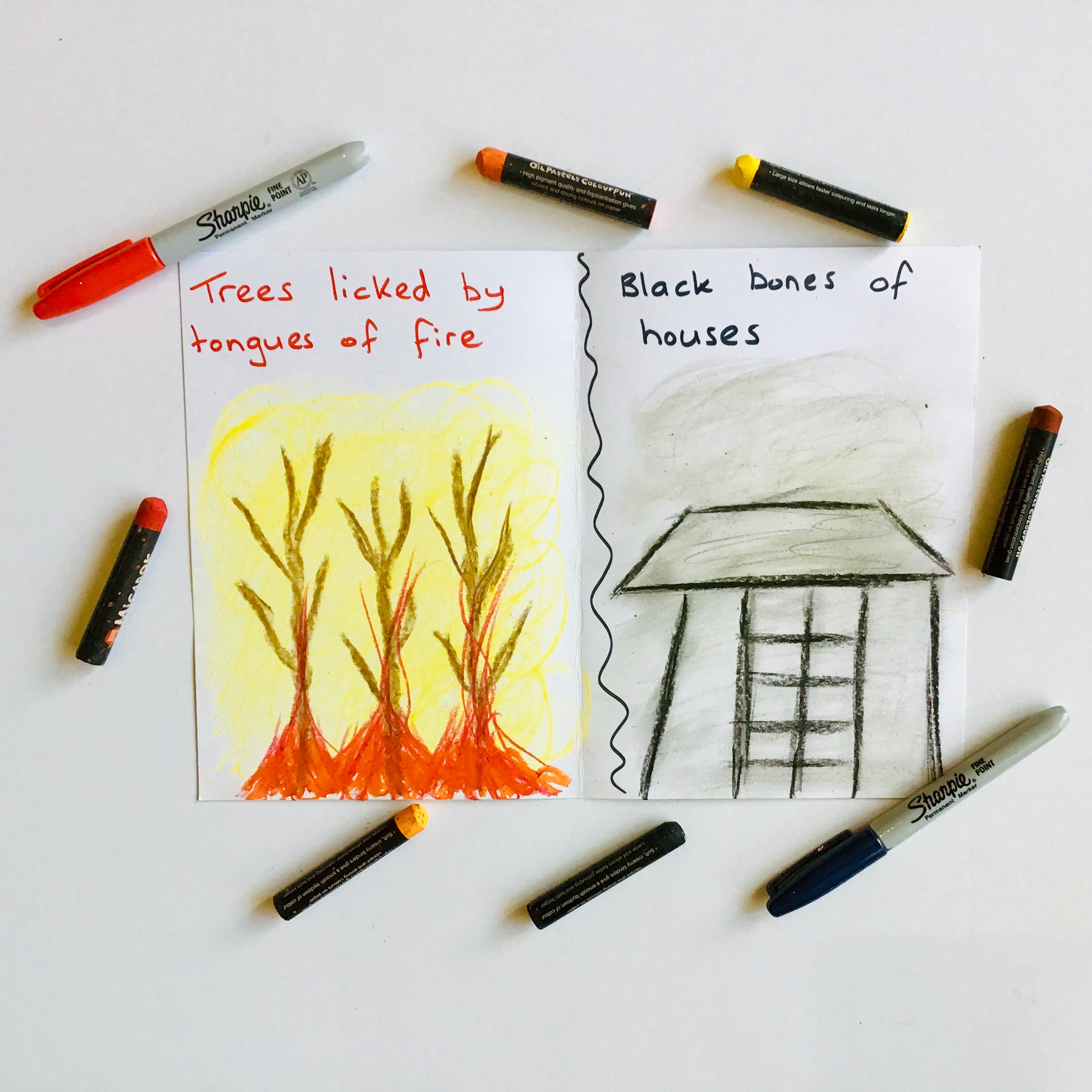 A fun reading lesson for grades 5 and 6 students that explores bushfires through picture books and visual literacy. This lesson explores the rich, poetic language of the book ‘Fire’ by Jackie French.