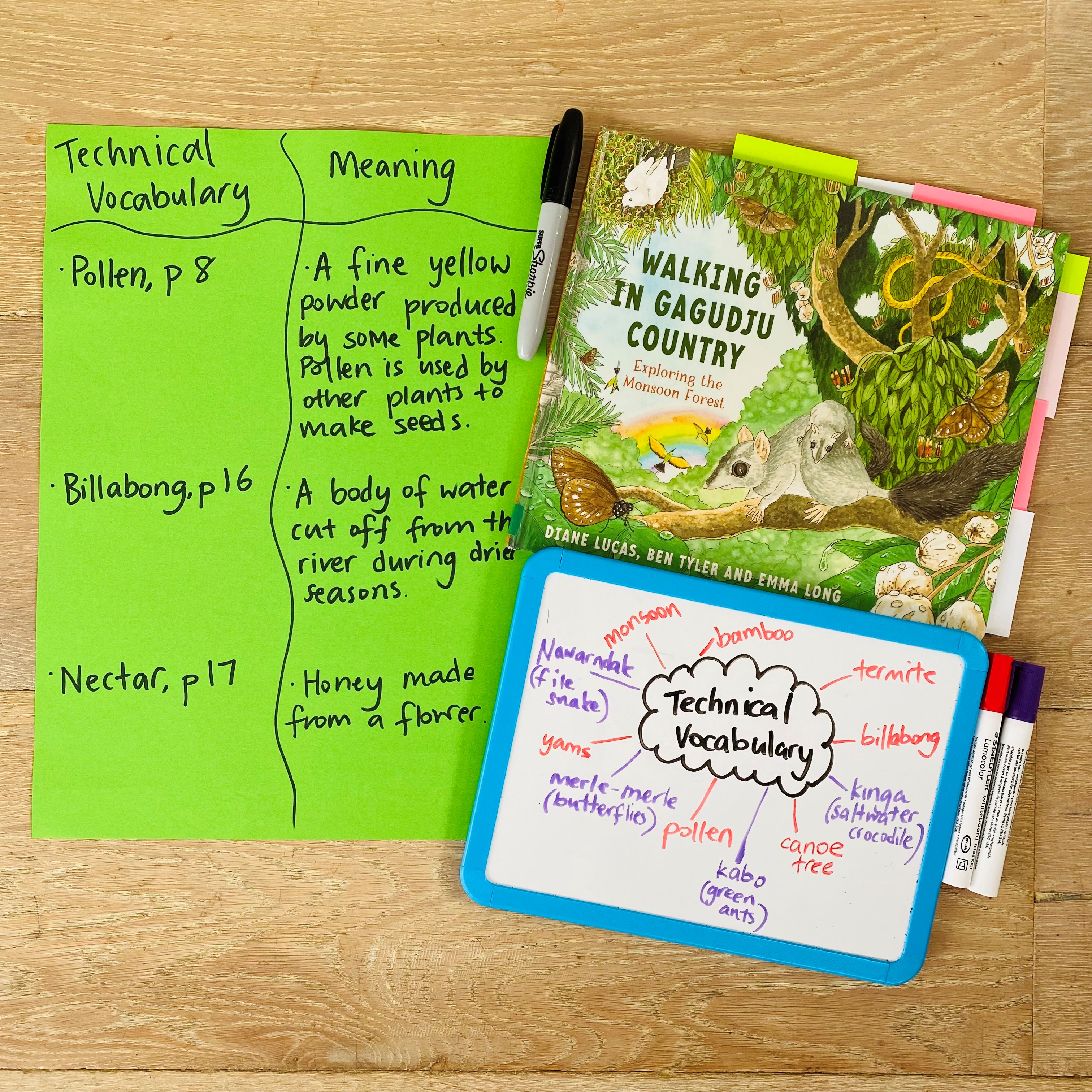 A fun reading lesson for grade 3-6 to develop students’ ability to identify and understand technical vocabulary. Students read Ben Tyler and Diane Lucas’ wonderful text, “Walking in in Gagudju Country” which takes students on a walking tour through the Monson Forest in Kakadu. The text embeds the Kundjeyhmi language into the narrative, which is one of the native Indigenous dialects spoken in this particular part the Northern Territory. Here we have an example of the start of a class anchor chart.