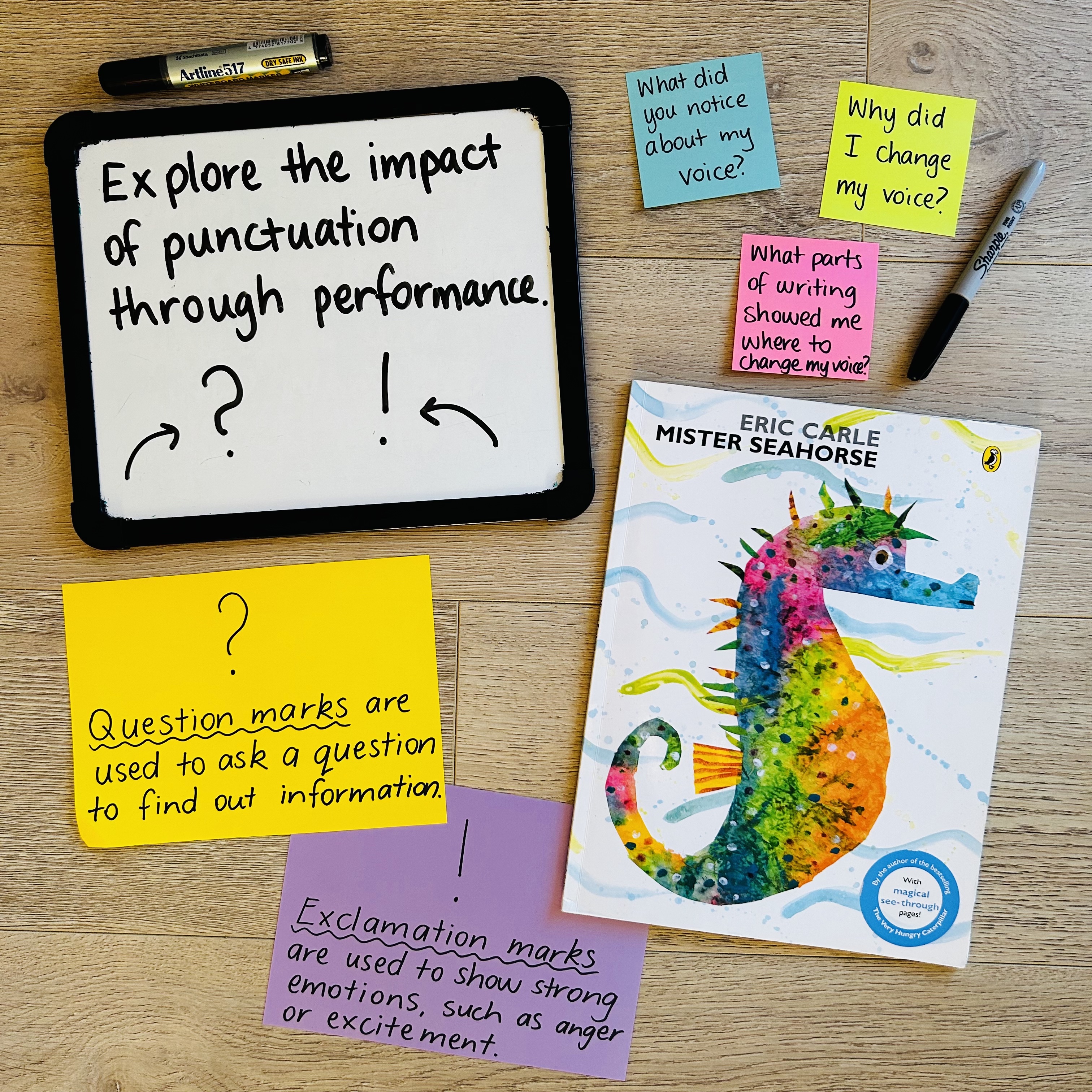 CB2--IMG-Olivia--Mister Seahorse Book Investigation - Exciting Punctuation-L3