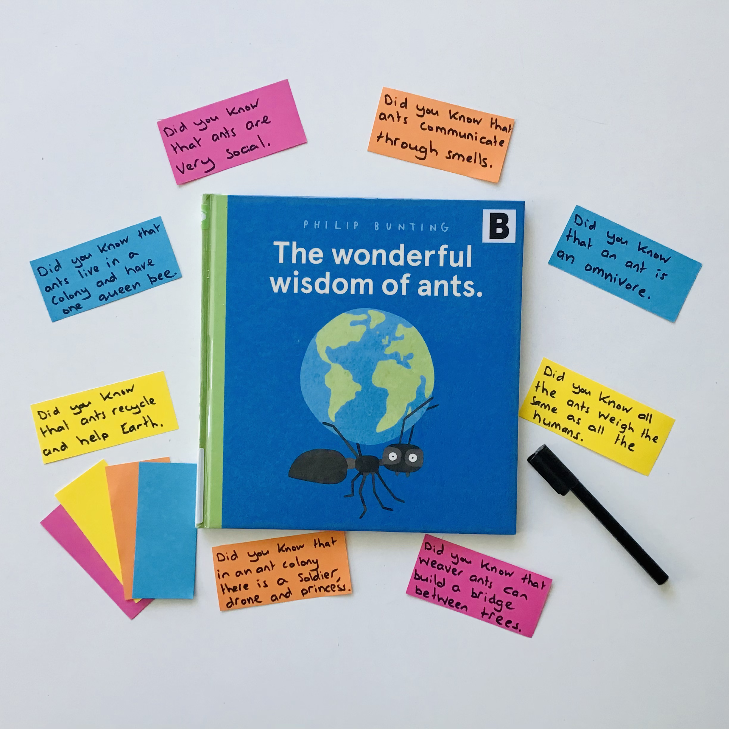 A fun reading lesson for grade 2 students that explores the language around persuasion. This lesson uses the book The Wonderful Wisdom Of Ants by Phillip Bunting.