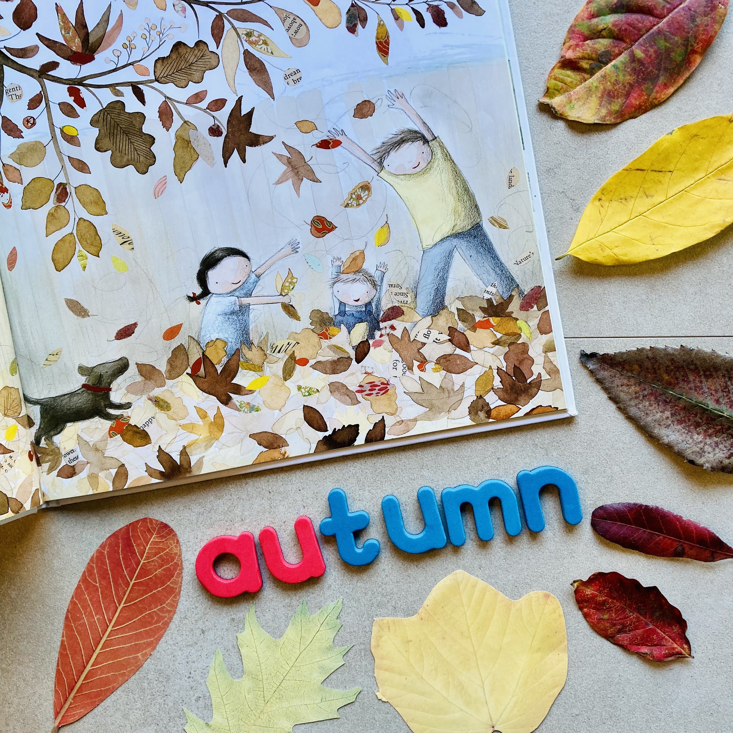 CB2-PHON-PHGR-IMG-ML--Phonic Companion Set 5 - Focus au-L6