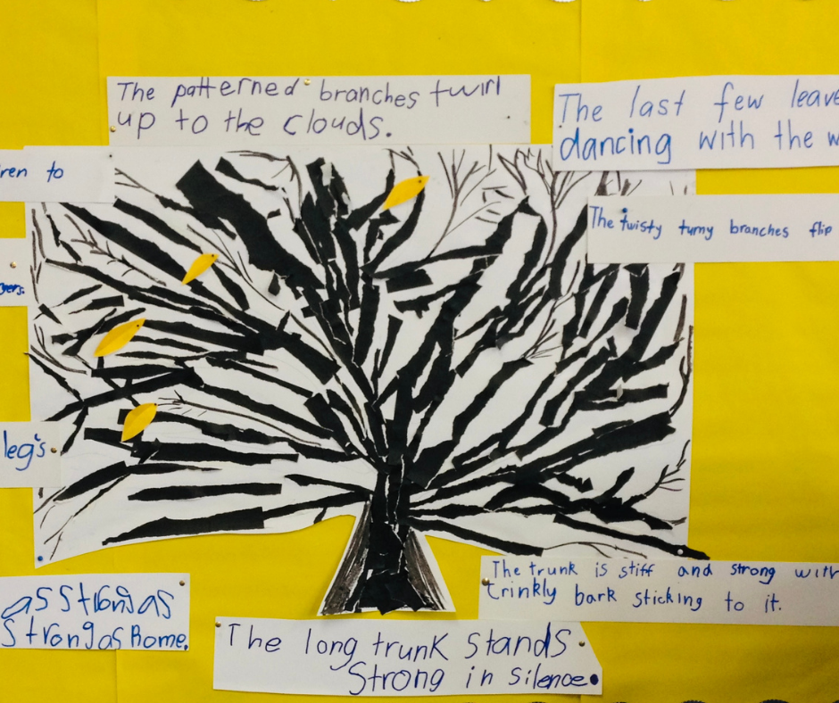 collecting-colour-describing-trees-high-quality-literacy-lesson