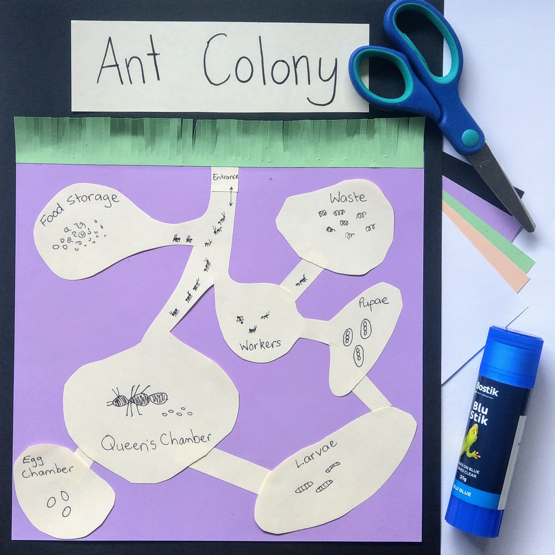 CB2-BOOK-FNF-DOC-AH-0984-Life Cycle - Ant Colony Collage-L3