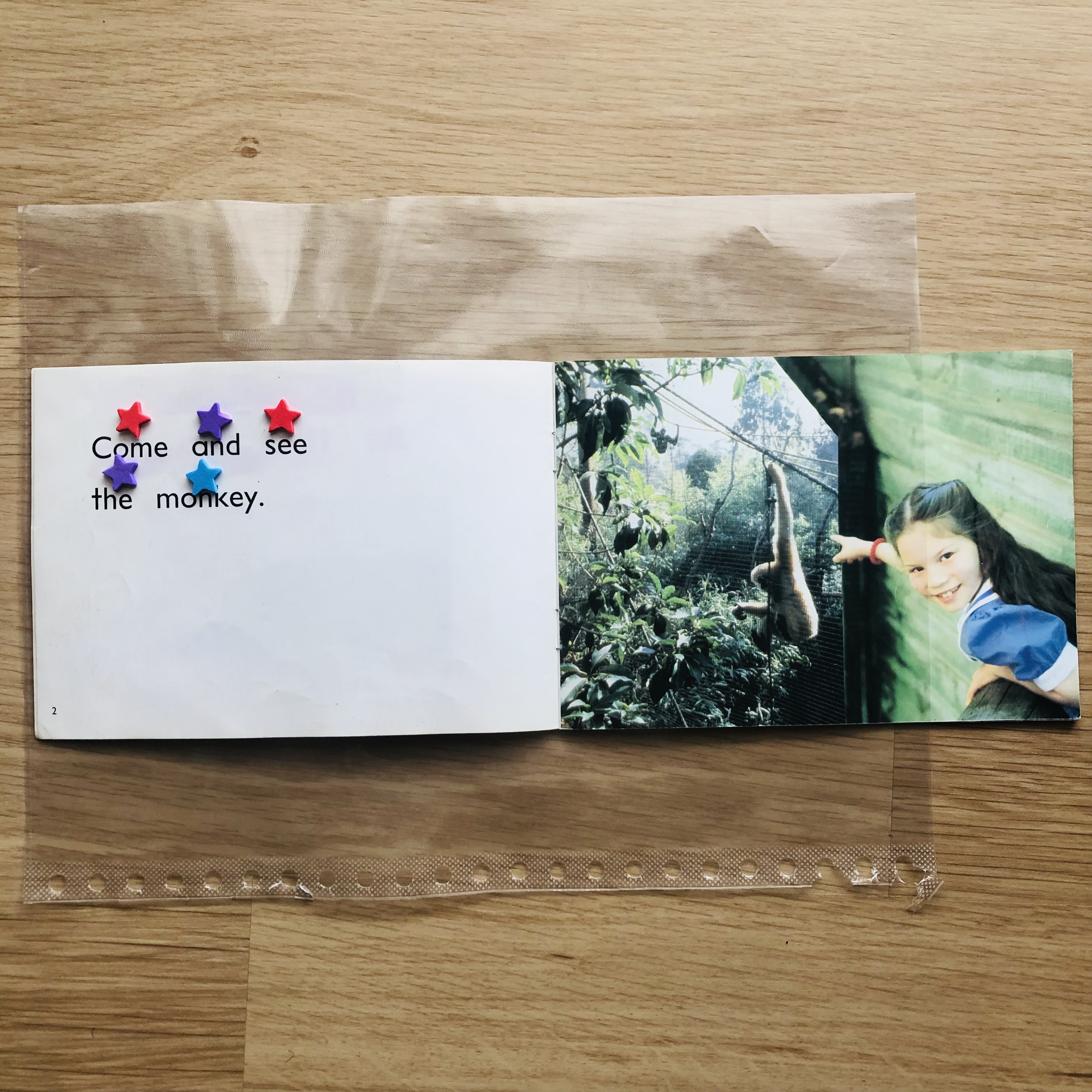 A quick and fun reading activity that teaches students the early concepts of reading and understanding that voice and print match is imperative.