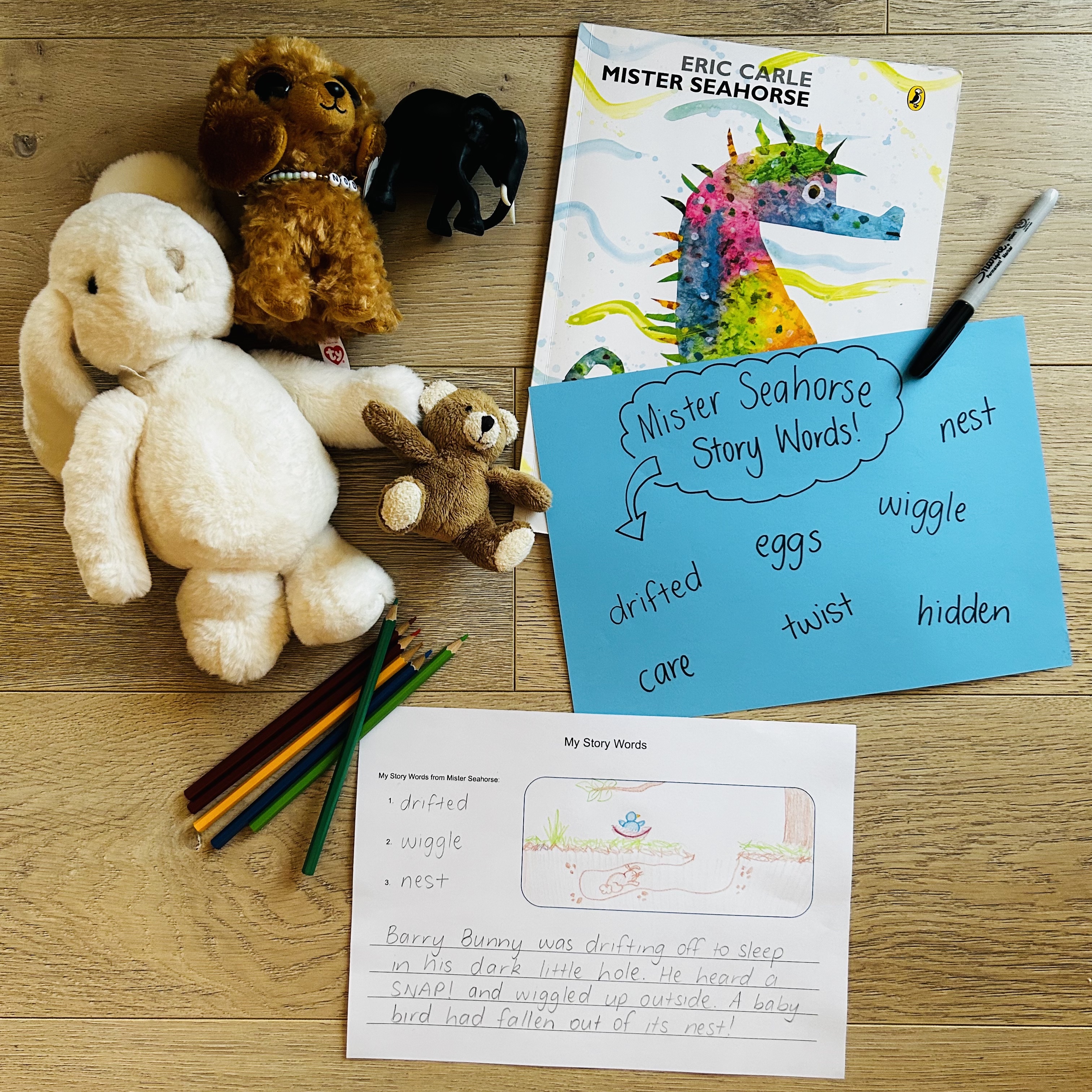 CB2--IMG-Olivia--Mister Seahorse Book Investigation - Using Text Vocabulary in My Writing-L5