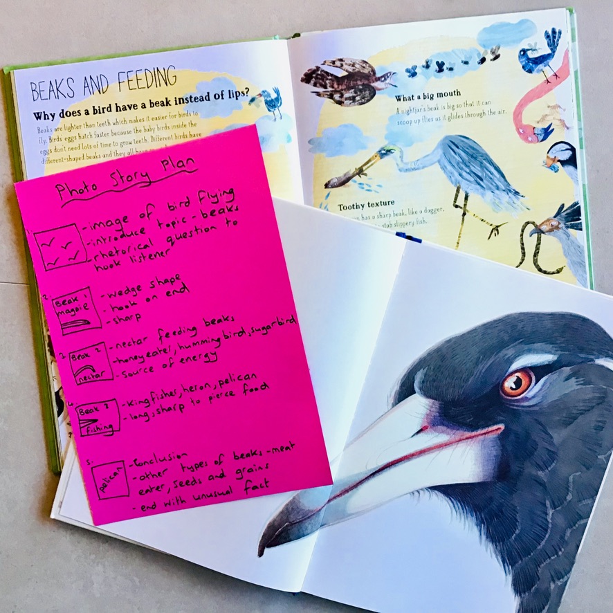 A fun reading lesson for grade 5 students that explores animal adaptations. This lesson focuses on the structural adaptations of bird beaks.