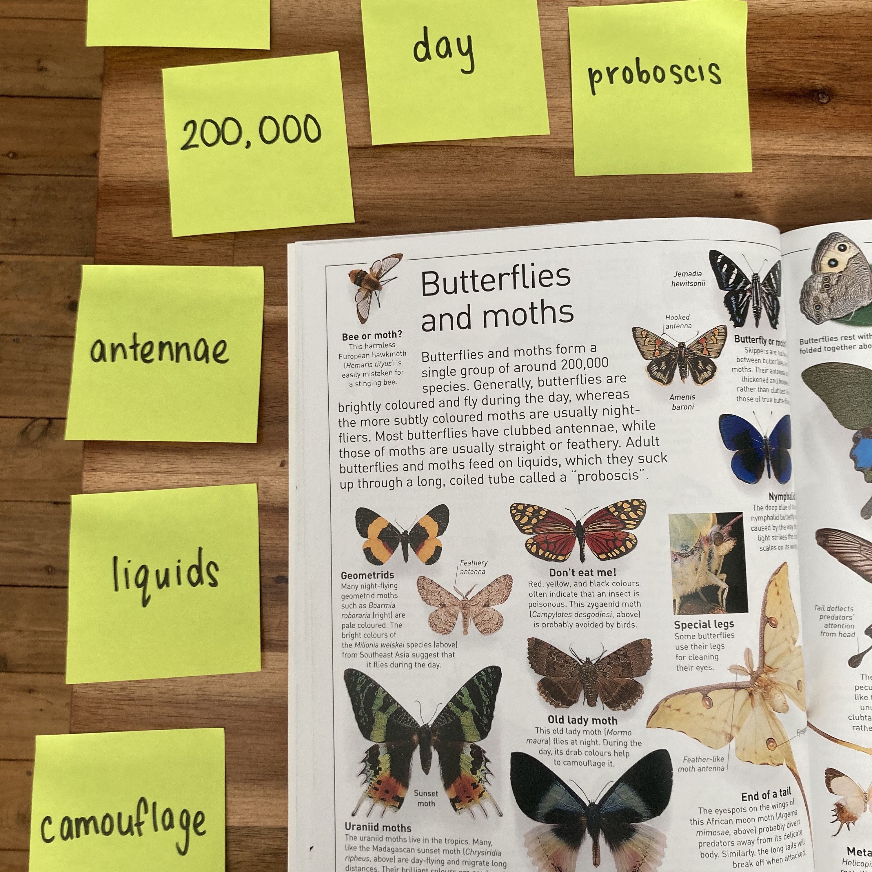 A fun reading lesson for grade 2, 3, and 4 students that gets them exploring the strategy of summarising using factual texts and Post-it notes. A fun reading lesson for grade 2, 3, and 4 students that gets them exploring the strategy of summarising using factual texts and Post-it notes.