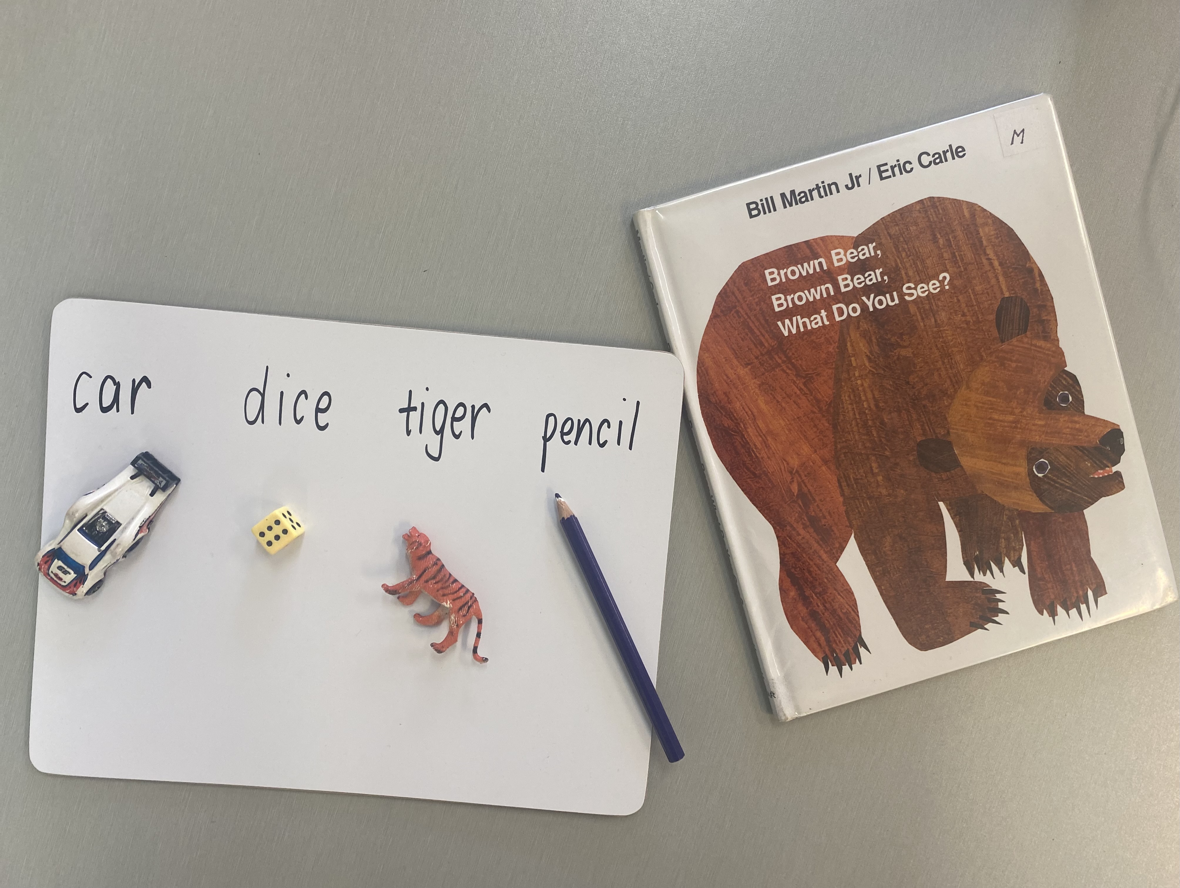 A lesson to introduce the concept of one-to-one correspondence. This lesson uses books with simple text to explore concepts of print, text and directionality. Students are introduced to one-to-one by reading objects.