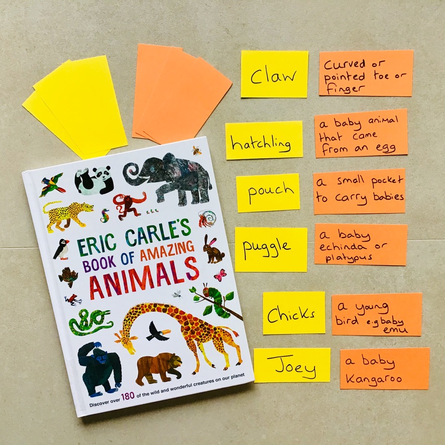 A fun reading lesson for grade 1 and 2 students that explores the structural and language features of information texts. This lesson explores technical and scientific vocabulary.