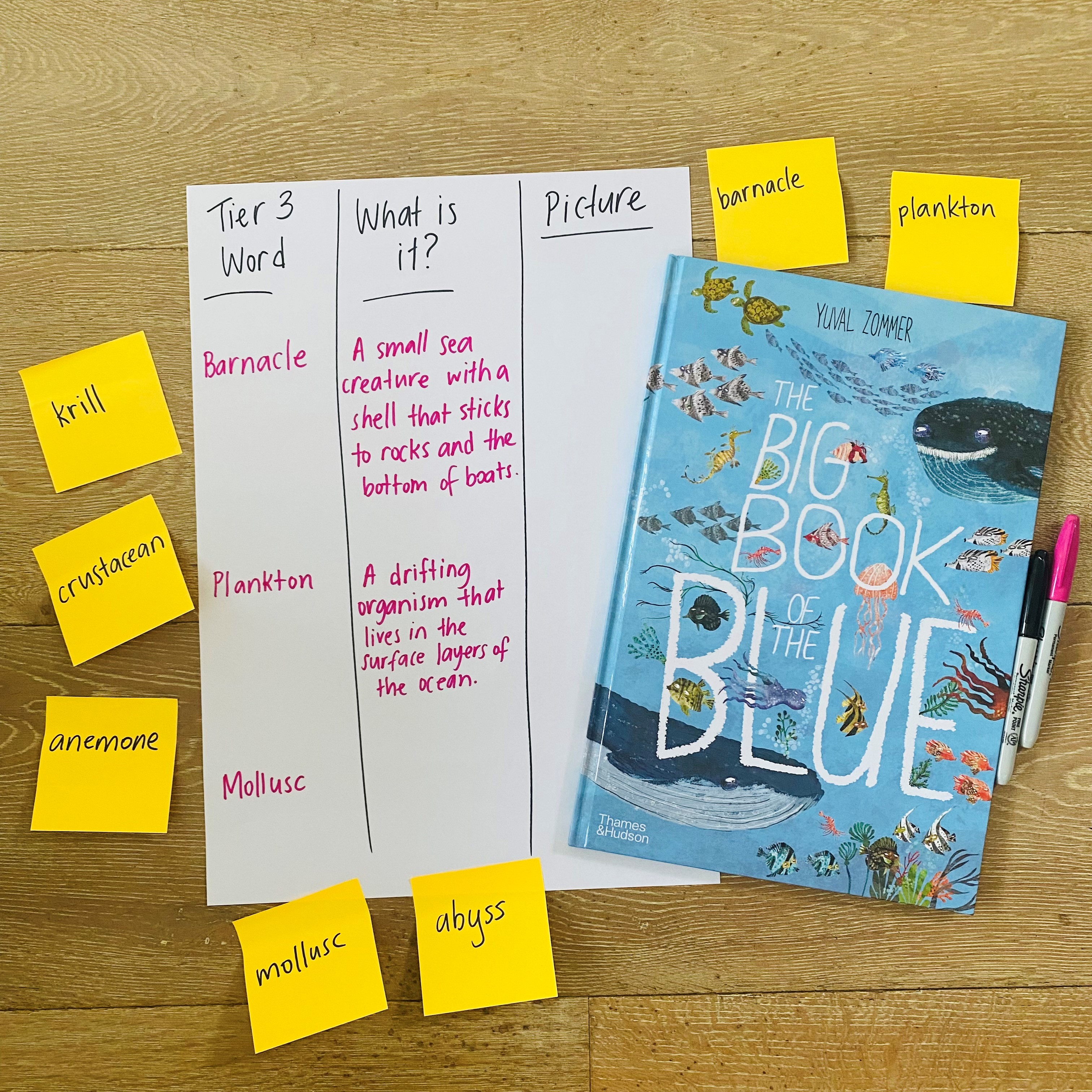 An engaging, explicit lesson to further develop students' understanding of the three tiers of vocabulary. This lesson provides students with an opportunity to explore some Tier 3 words in a chosen, nonfiction mentor text, in line with a current unit of study. Heavily scaffolded and easily differentiated, this lesson can be tailored to meet the needs of your students, and will support them to deepen their content knowledge, ultimately making them more savvy readers and writers!