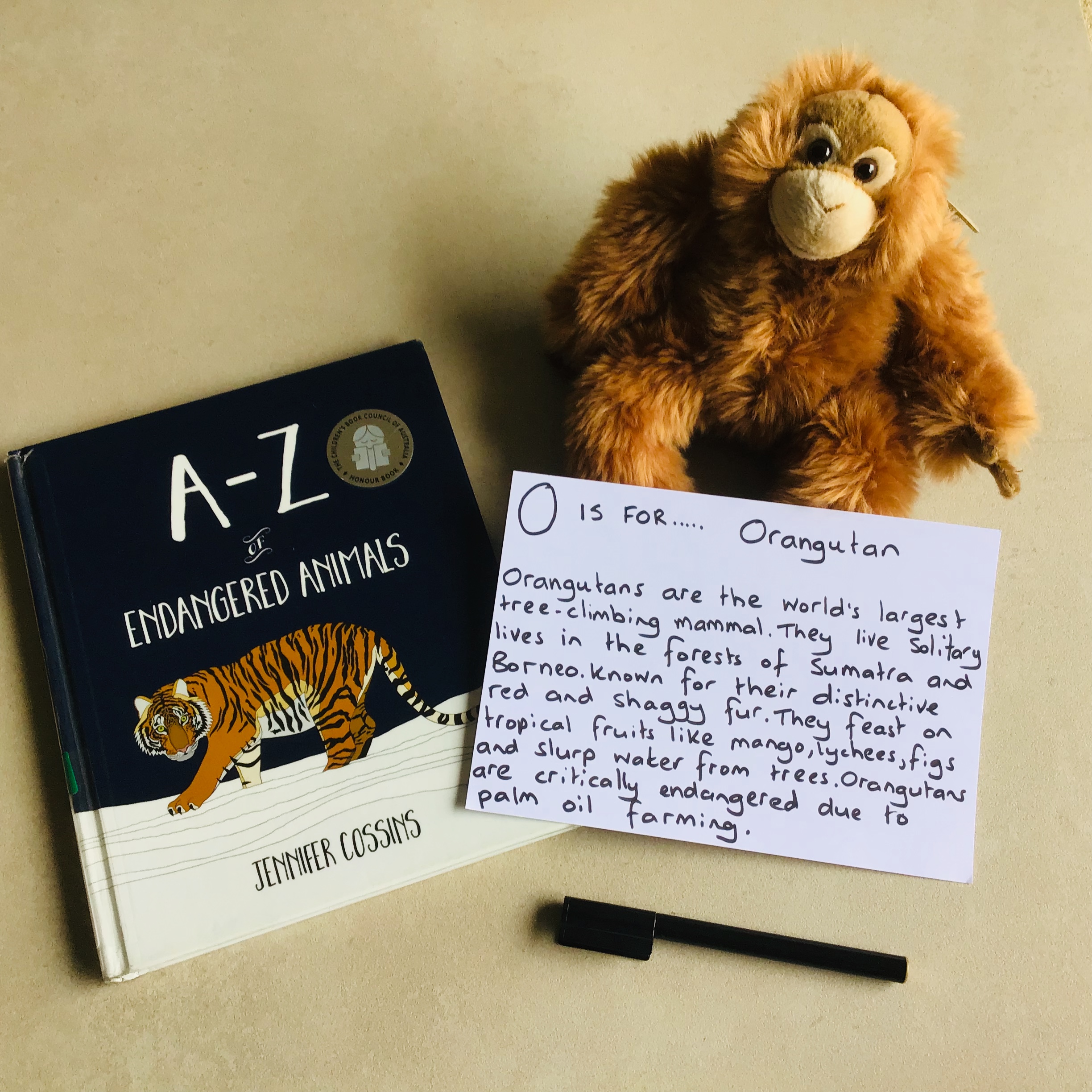 A fun reading lesson for grade 3 and 4 students that explores features of factual texts. This lesson focuses on writing a short information paragraph and uses the book A-Z of Endangered Animals as a model. A fun reading lesson for grade 3 and 4 students that explores features of factual texts. This lesson focuses on writing a short information paragraph and uses the book A-Z of Endangered Animals as a model.