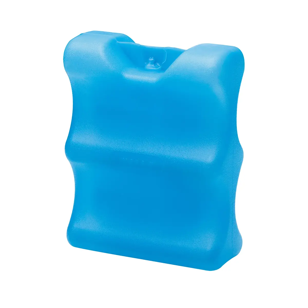 Image of a Medela Ice Pack for Breast Milk Storage