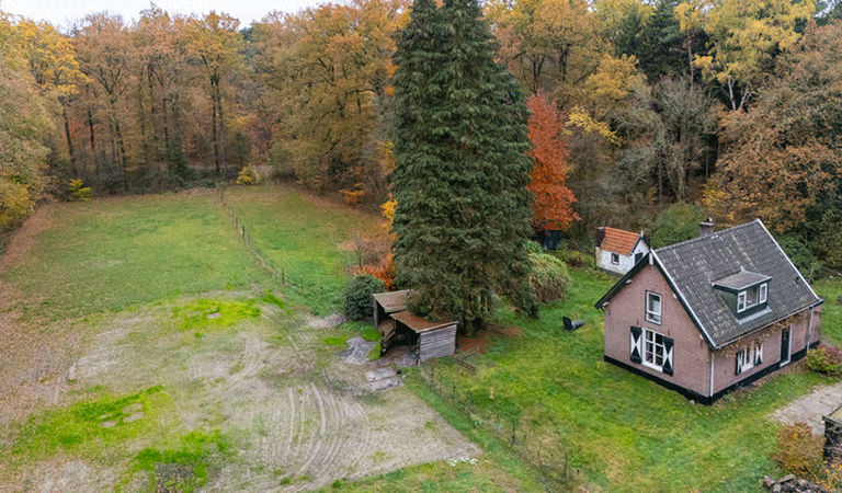 Het boshuis van bovenaf gezien, met eromheen het bijbehorende perceel dat omringd is door bos.