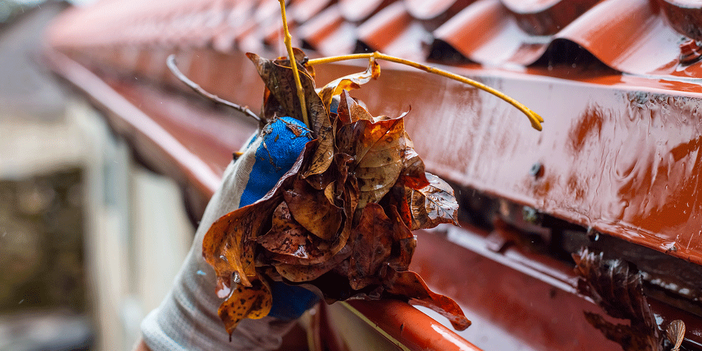 Close-up van een dakgoot waar bladeren uit worden gehaald.
