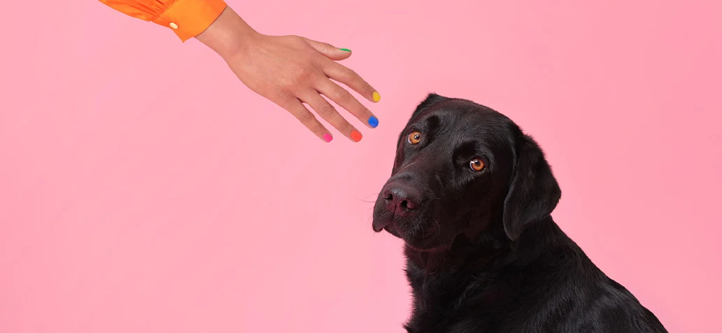 Een ambassadeur zal vaker voor je kiezen en raadt je ook bij anderen aan.