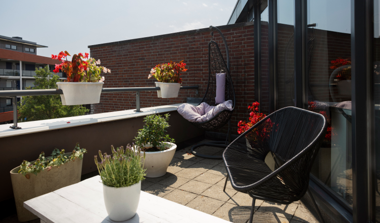Het dakterras van de woning van Wendel in Alphen aan den Rijn.