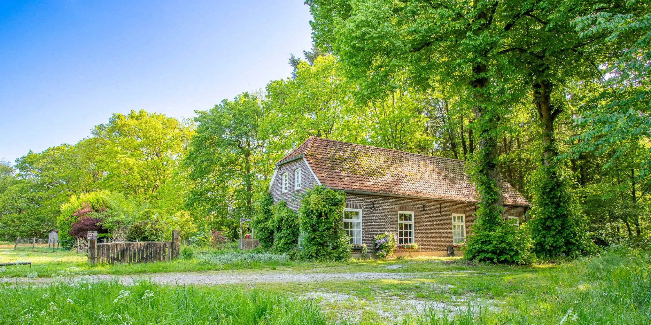 Idyllisch boswachtershuis aan een bosrand op het Noord-Limburgse Landgoed Geijsteren.