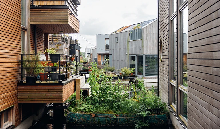 Een groene oase op het water