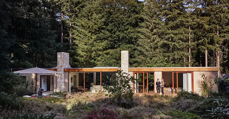 Vooraanzicht van de bosbungalow in Wapenveld die enorm veel aandacht trok op Funda en sociale media. 