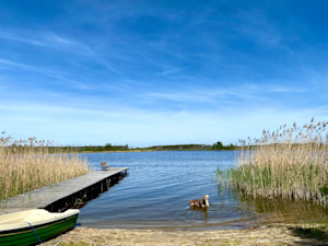 Dom Łabędź i Zielony Domek - jezioro