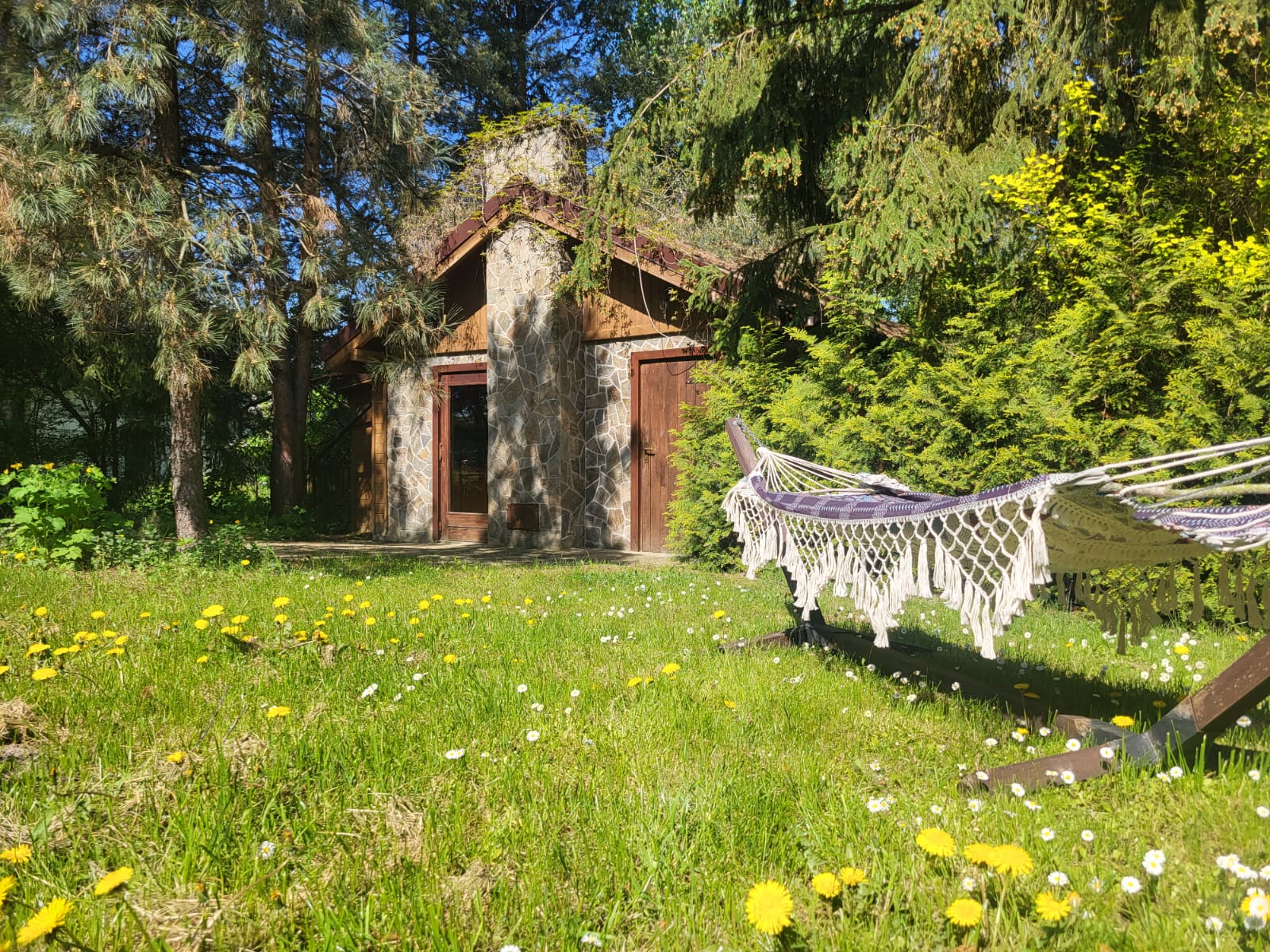 Dom Łabędź - widok na kuchnię letnią