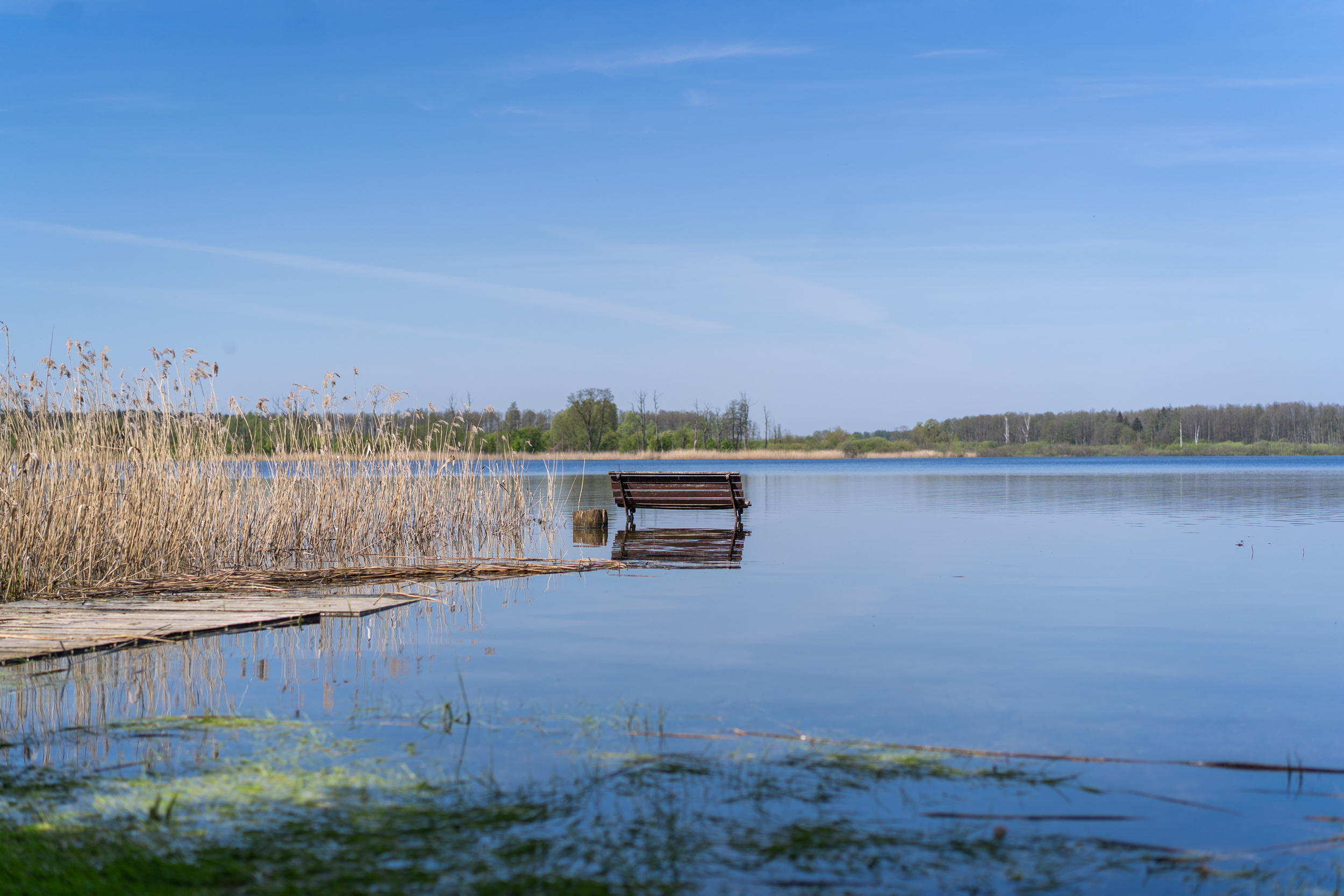 widok na jezioro 