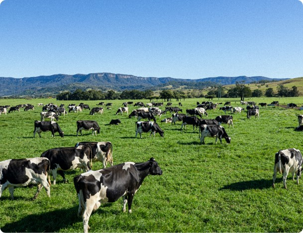 Our Farms Image