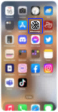 Billedet er af en iPhone skærm, som viser indstillinger