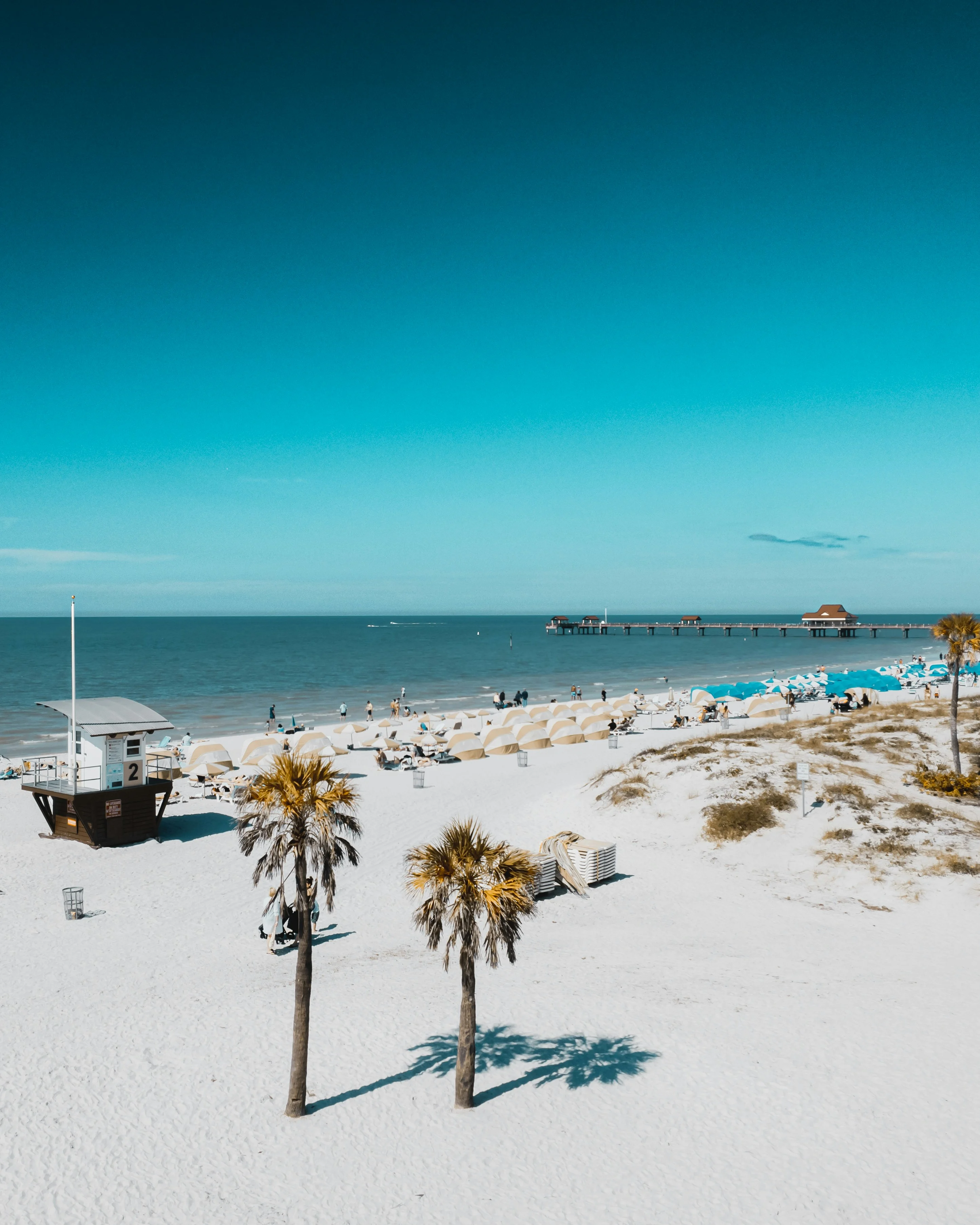 White sand beach in Florida with a lifeguard tower, rows of beach umbrellas, palm trees, and a pier extending into the water