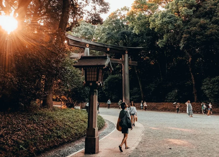 Sunlight streaming through trees onto a wooden torii gate and stone lantern in Tokyo's Yoyogi Park, with visitors walking along the path at sunset.