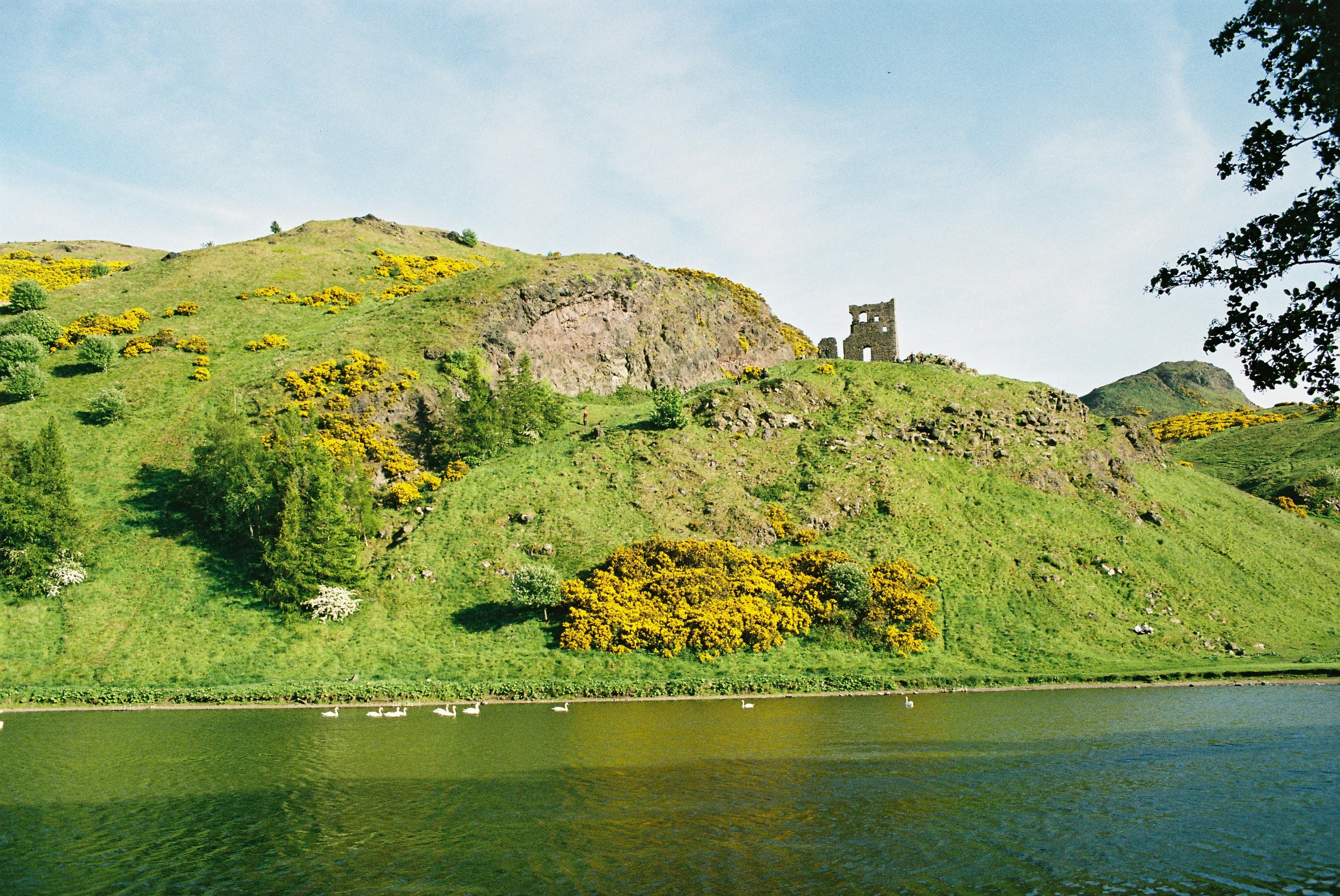 Why we love Edinburgh (5 of 5)