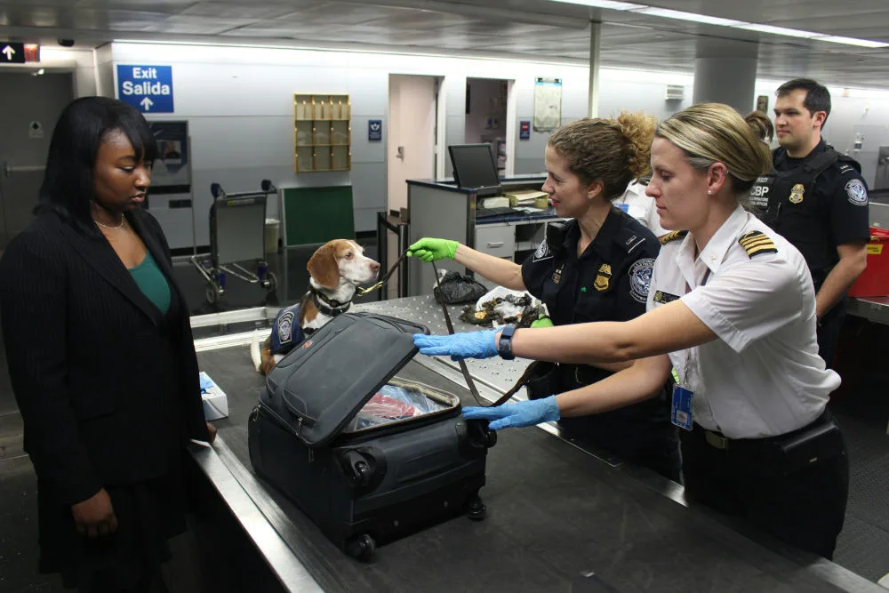 A traveler scanning at a CLEAR airport kiosk, illustrating how to get CLEAR+ membership for less.