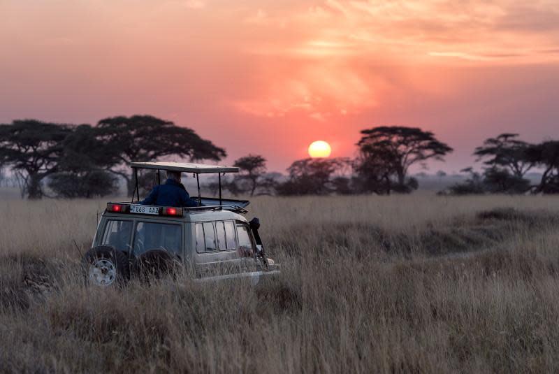 A safari vehicle parked in tall golden grassland during sunset in an African savanna. The 4x4 vehicle with roof rack and rear lights on is positioned in the foreground, partially hidden by the tall dry grass. The background features iconic acacia trees silhouetted against a spectacular pink and orange sunset sky with the sun visible as a bright orange ball on the horizon. This atmospheric scene captures the quintessential African safari experience at the magical moment of dusk.