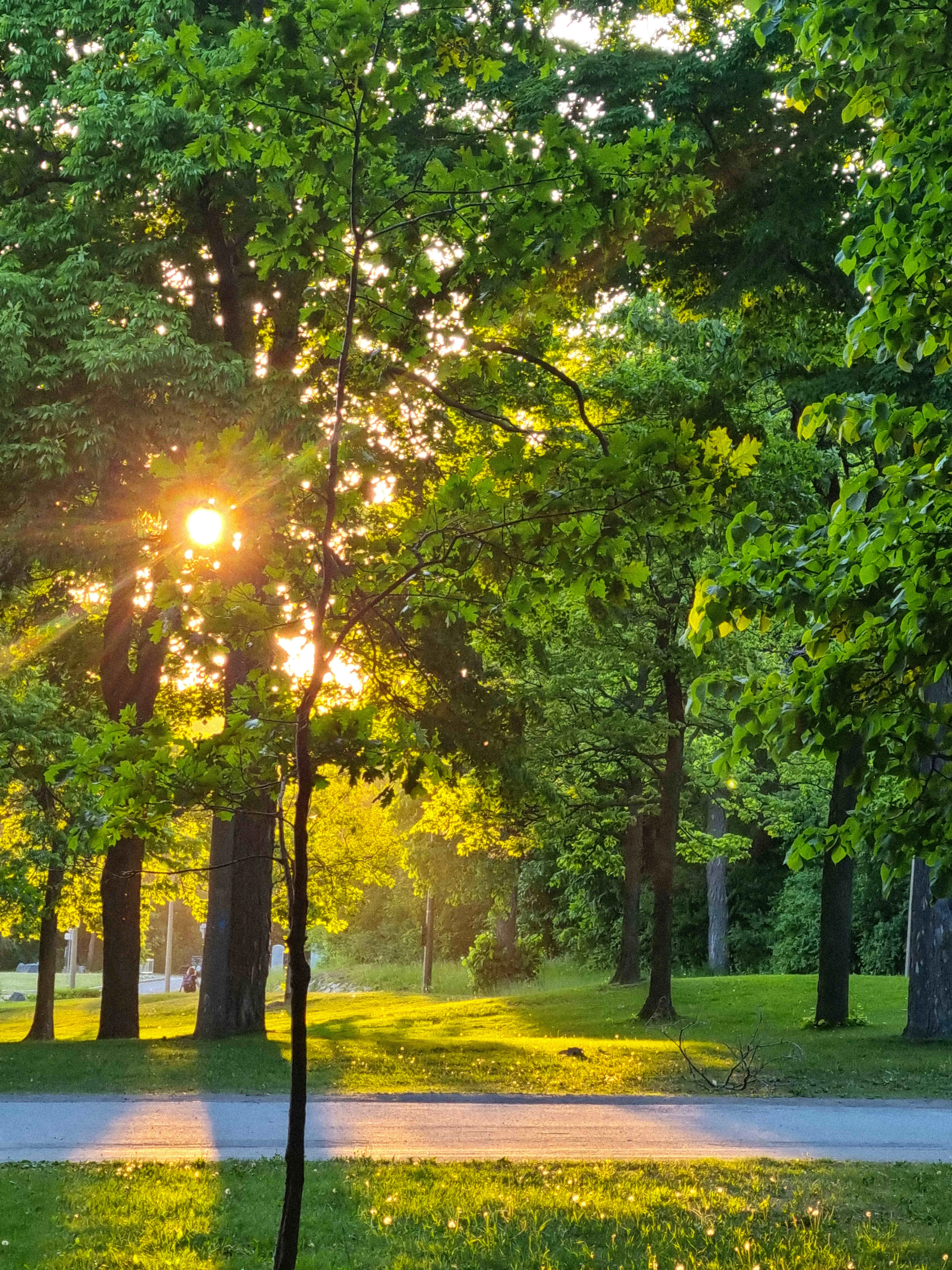 Why we love Montreal (5 of 5)