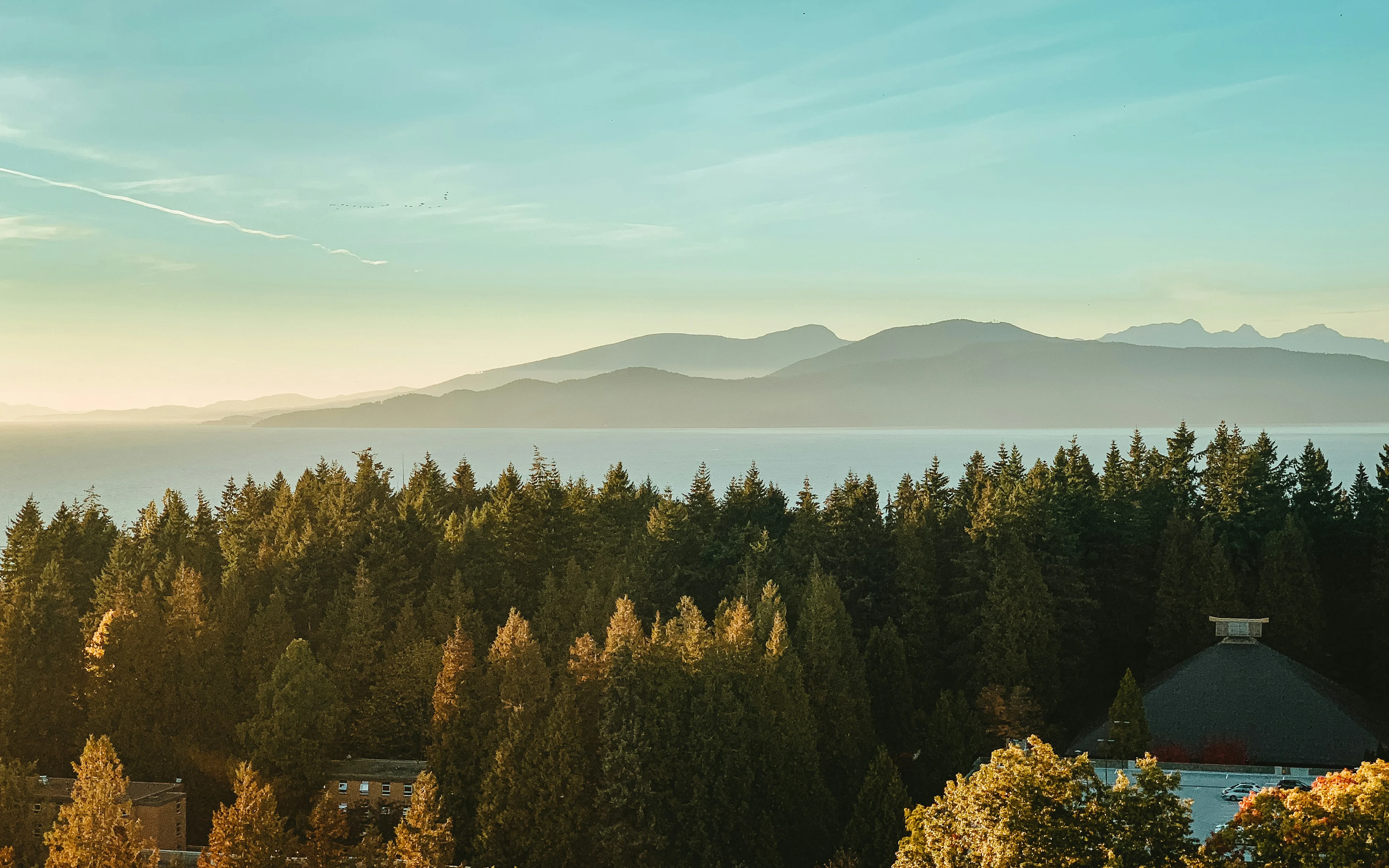Why we love Vancouver (1 of 5)