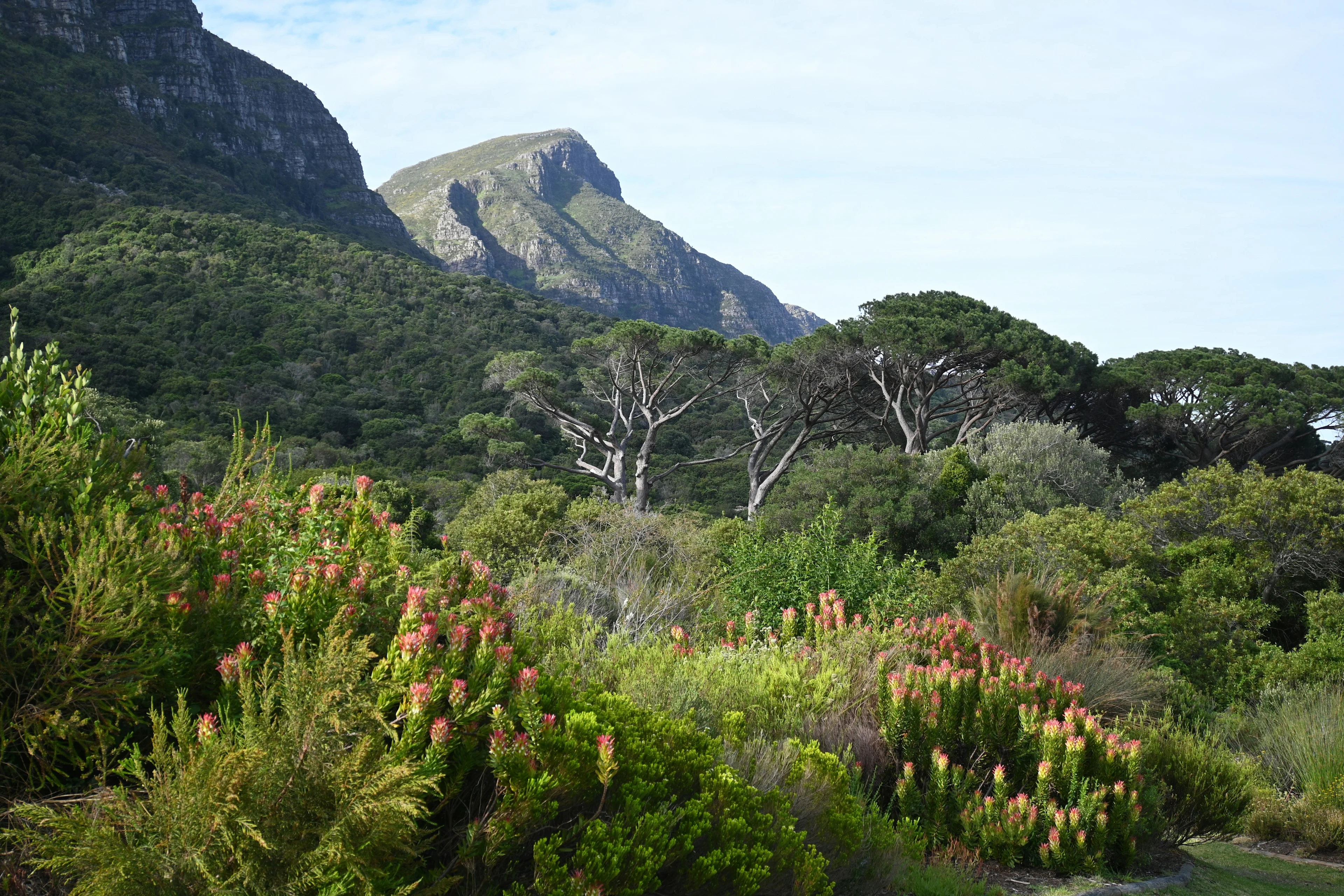 Why we love Cape Town (3 of 5)
