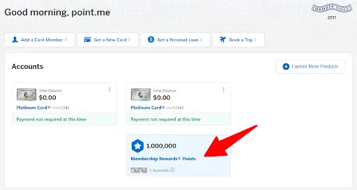 Screenshot of log on screen for American Express transfer portal