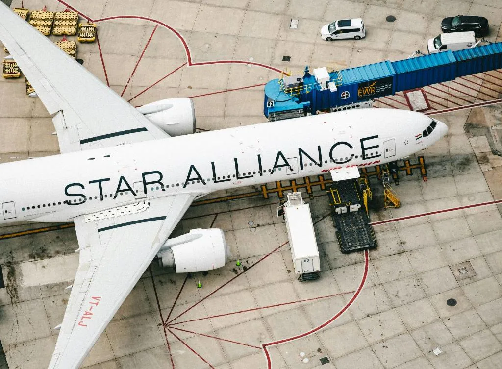 Star Alliance airline tails, illustrating the guide to Star Alliance members and awards.