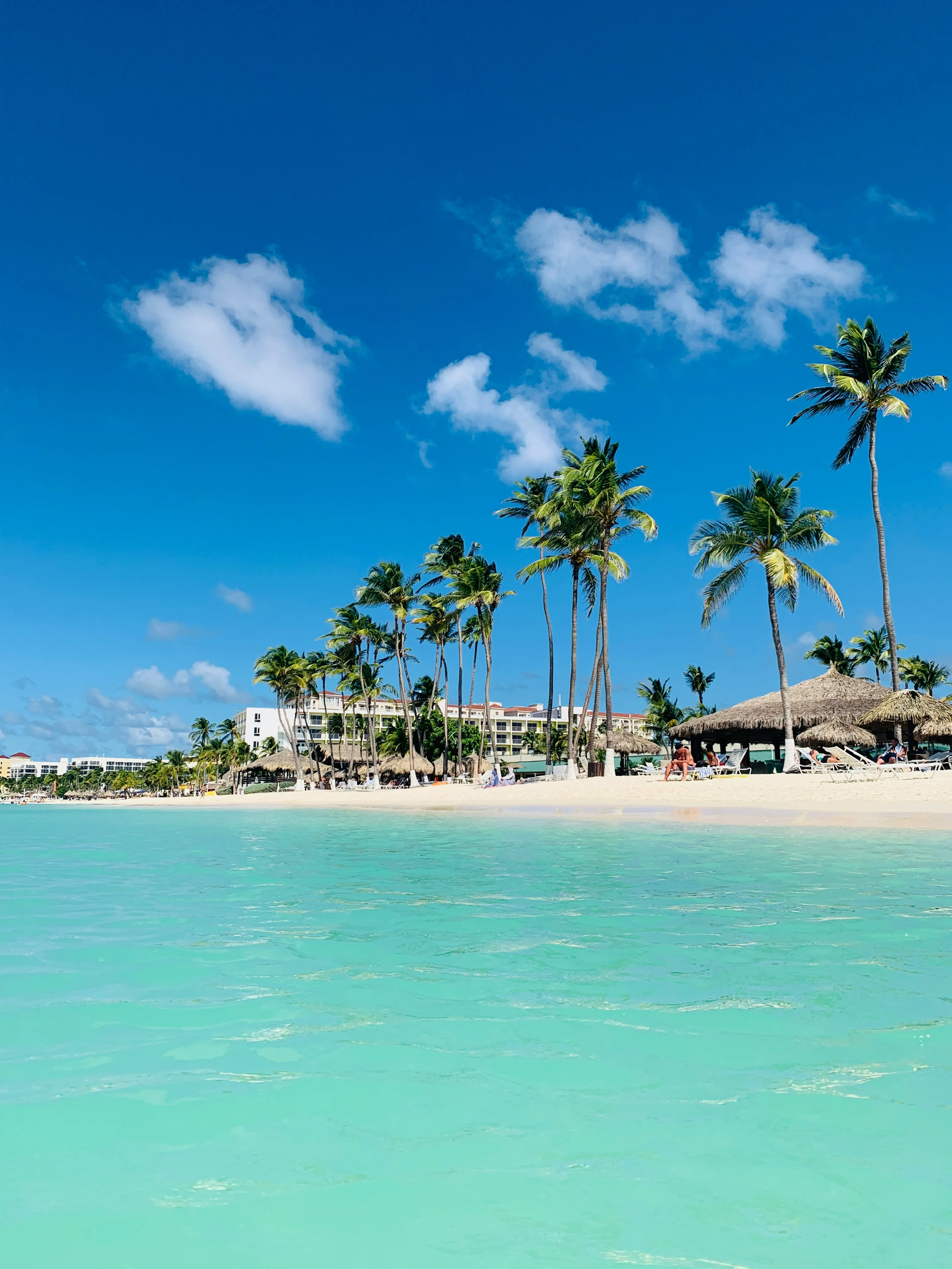 Turquoise water and white sand beach in Aruba lined with palm trees, thatched-roof cabanas, and a beachfront resort