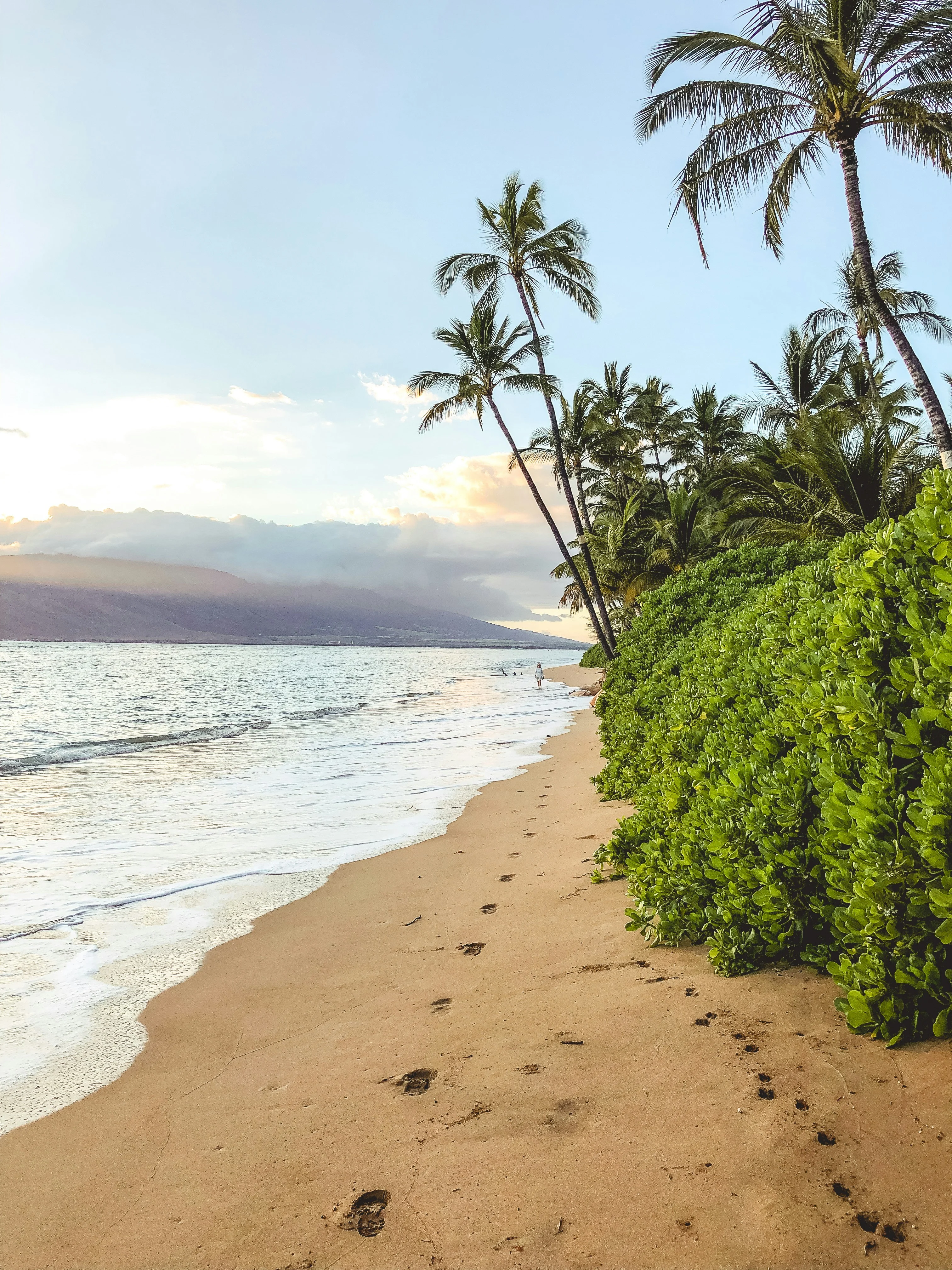 Palm trees leaning over a Maui beach at sunset, with footprints in the sand and mountains visible across the water