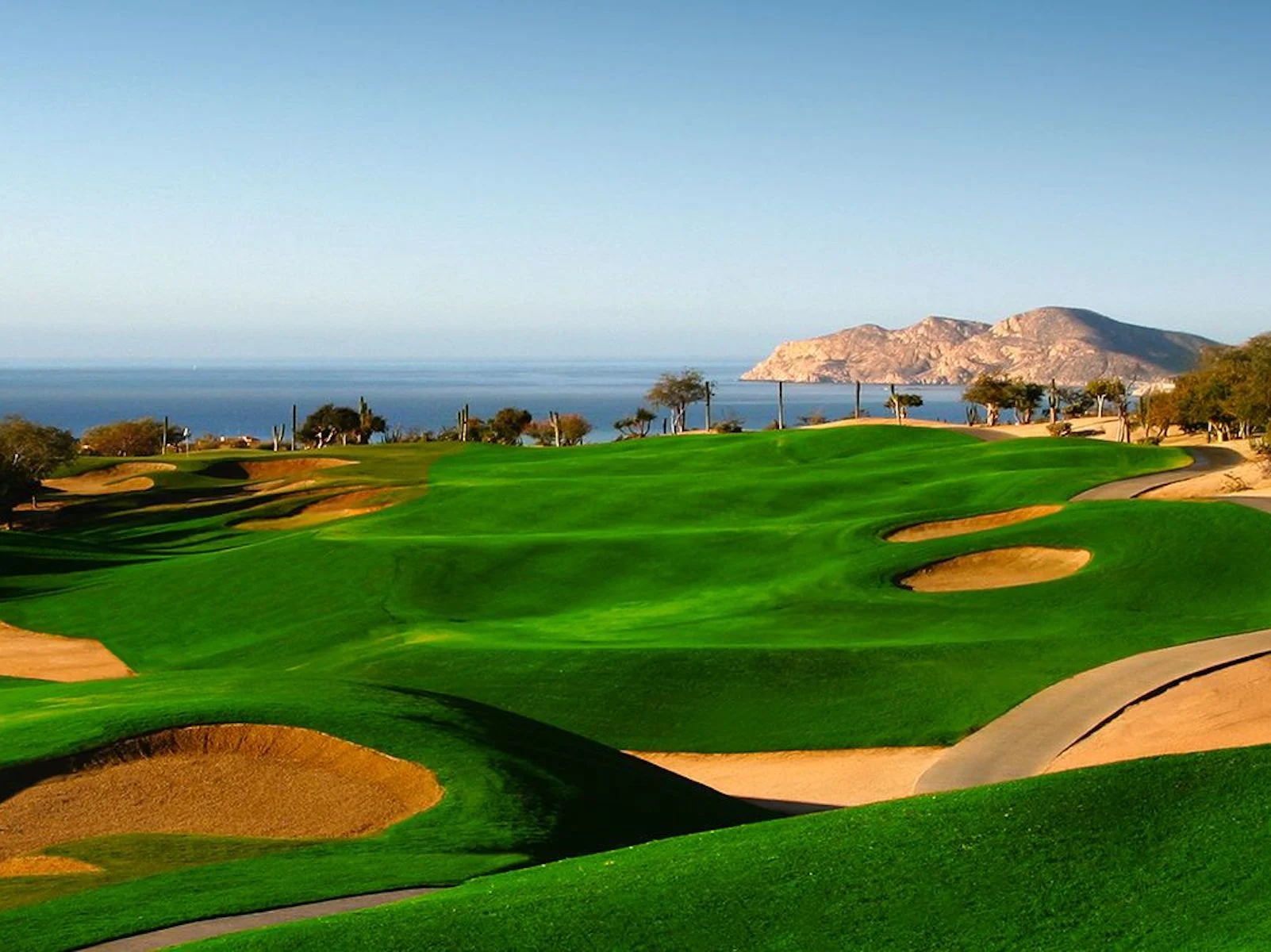 A coastal golf course with rolling green fairways and sand bunkers overlooking the ocean and rocky headlands in Cabo, Mexico