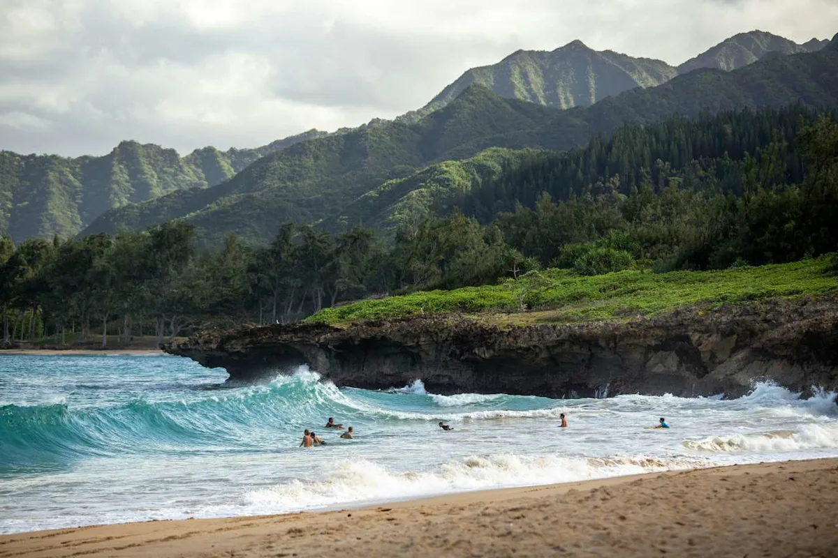 A Hawaiian beach with palm trees, illustrating how to fly to Hawaii on points and miles.