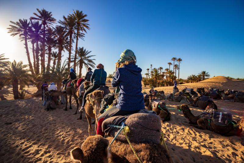 A camel caravan crossing the desert at sunset or sunrise. Several tourists wearing winter clothing and head wraps are riding on camels in a line formation, moving through sandy terrain. The scene is framed by tall palm trees on both sides, with golden sunlight filtering through, creating a warm glow against the clear blue sky. In the foreground and background, some camels can be seen resting on the sand. This appears to be a tourist excursion in a desert oasis location, likely in Morocco, Tunisia, or another North African country.