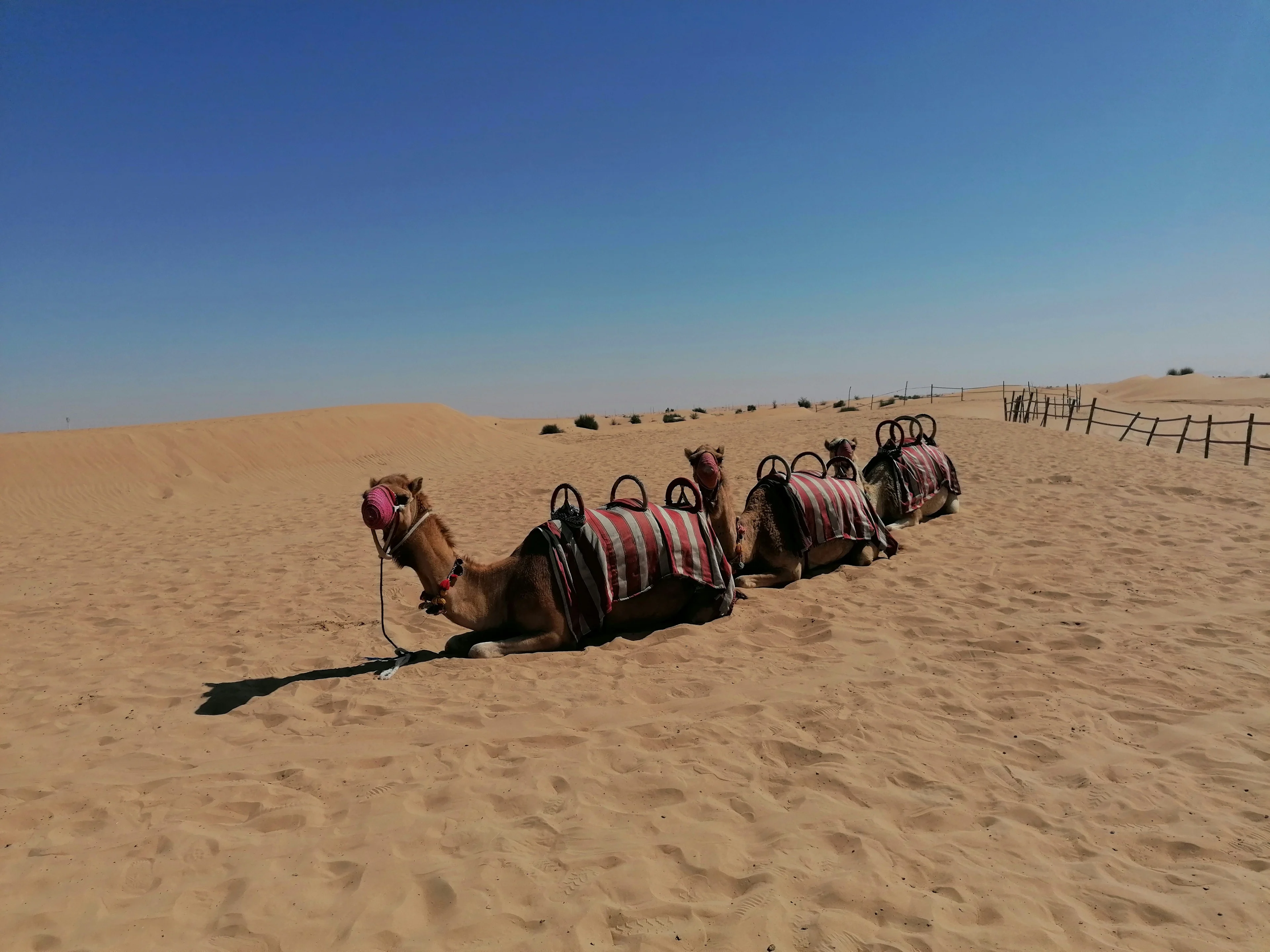 Why we love Dubai (2 of 5)