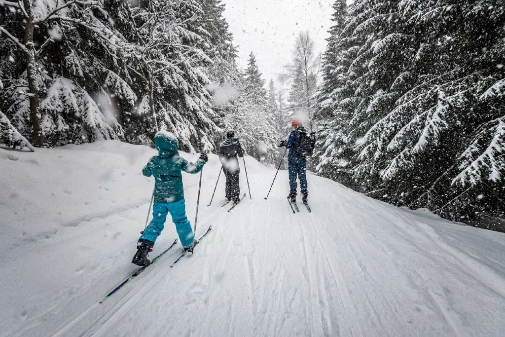 A family cross-country skiing along a snowy forest trail during light snowfall in the Czech Republic