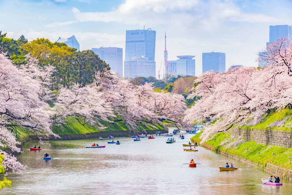 Why we love Tokyo (5 of 5)