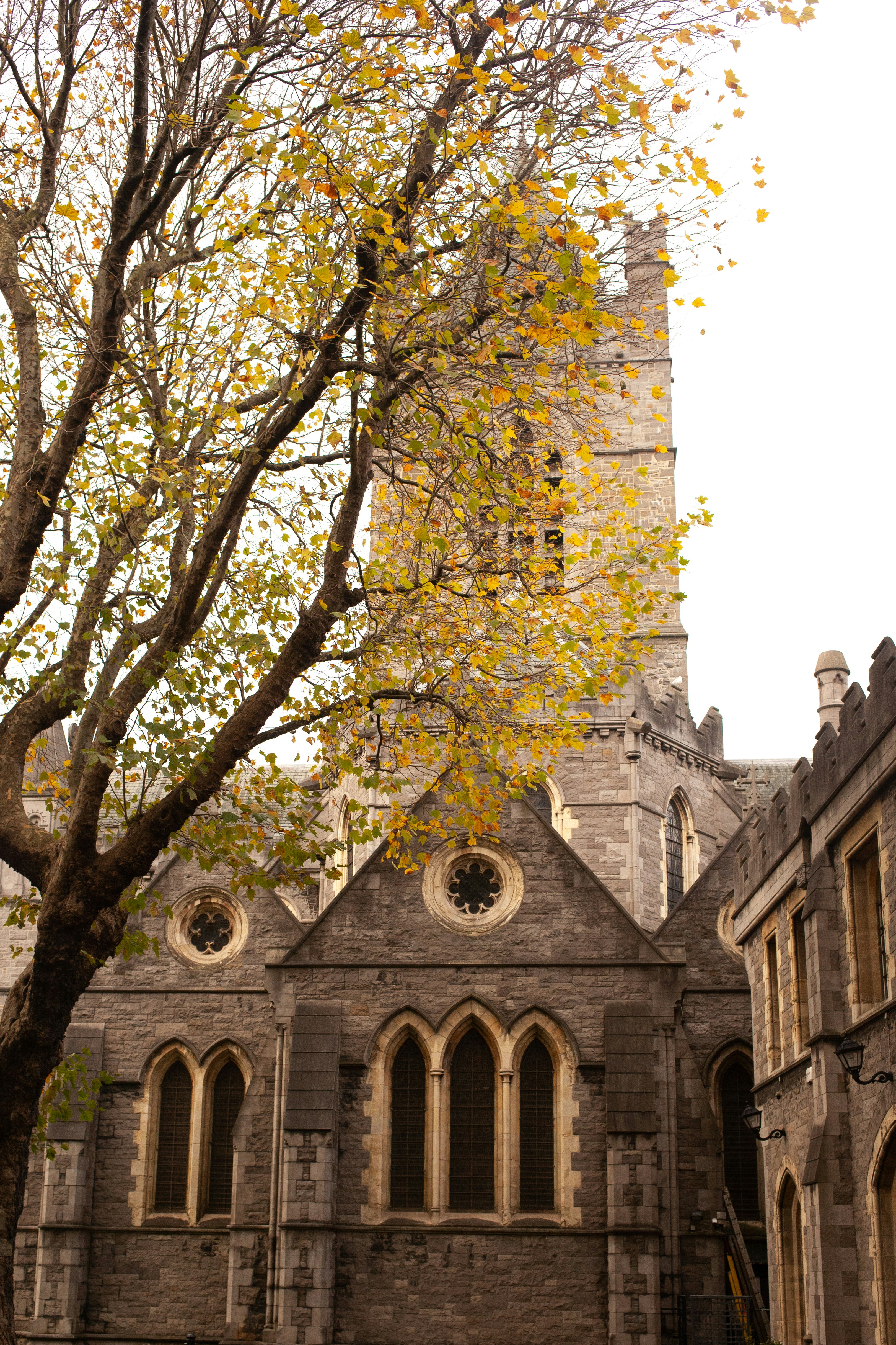 Why we love Dublin (3 of 5)