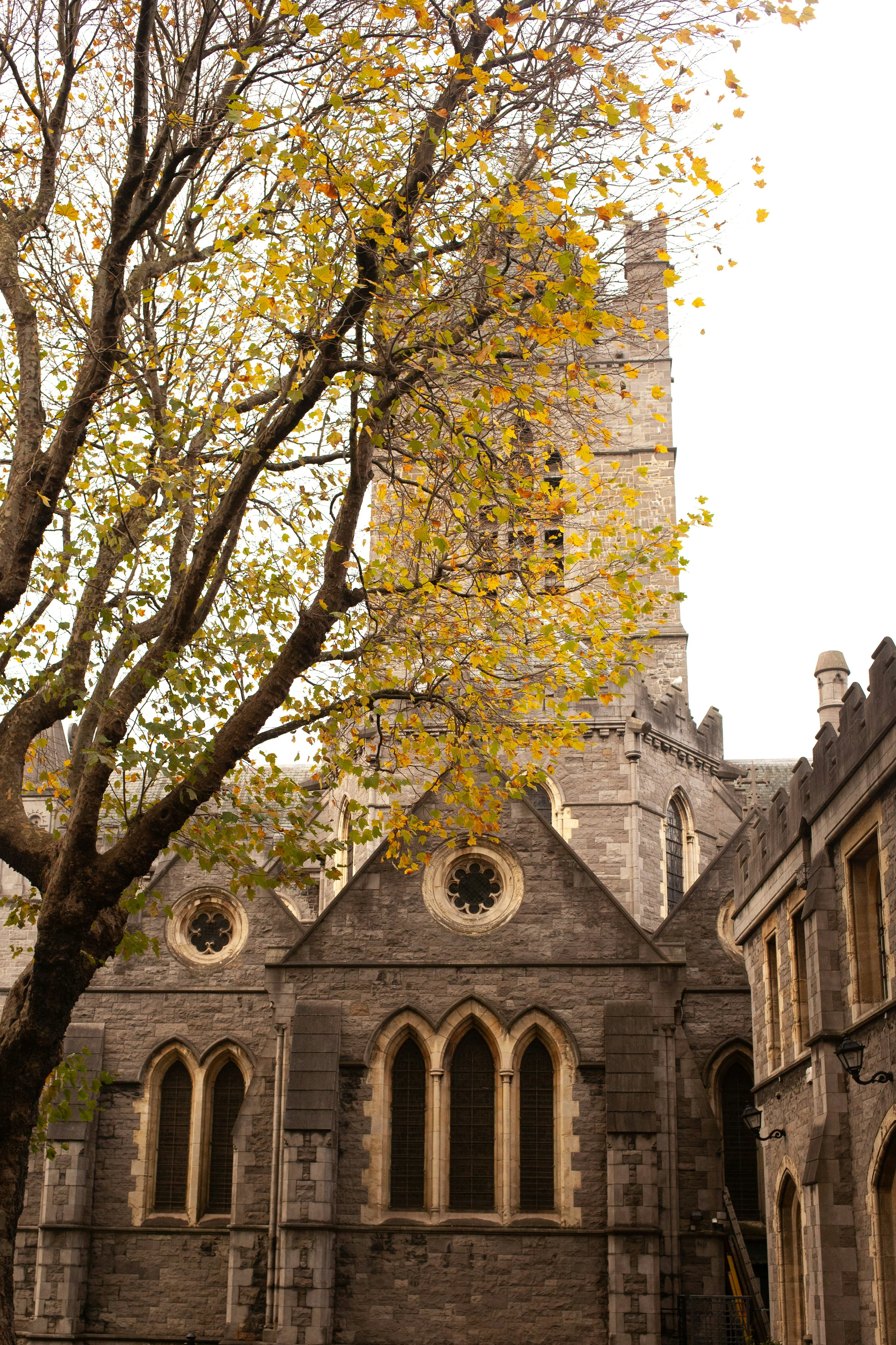 Why we love Dublin (3 of 5)