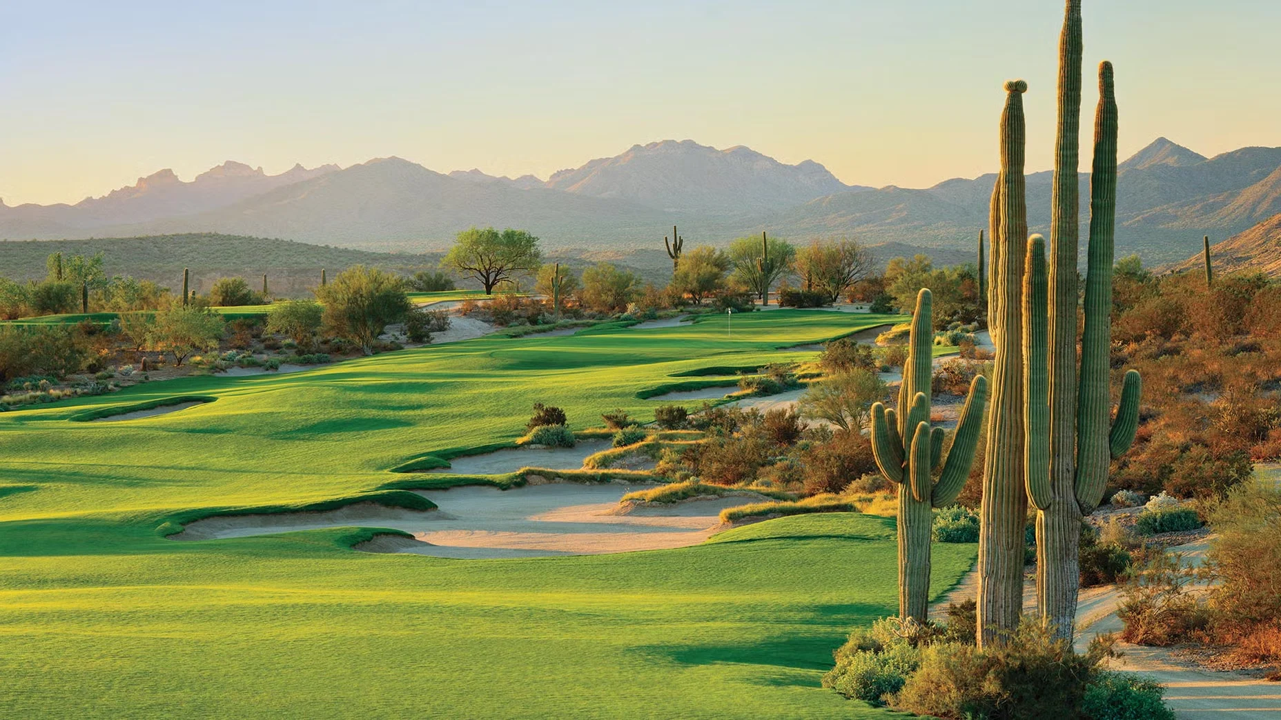 A desert golf course fairway lined with tall saguaro cactuses and framed by distant mountains in Arizona