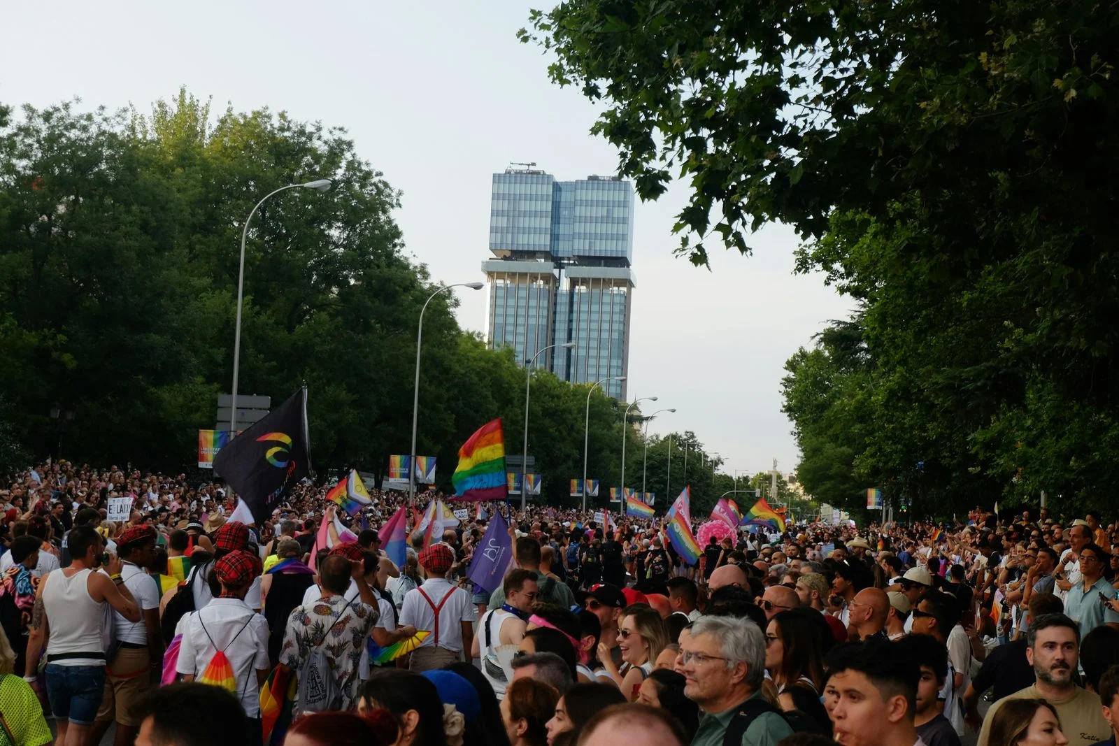 Crowds fill a tree-lined Madrid boulevard for Pride, waving rainbow, trans and bi flags below a glass tower. Crowds fill a tree-lined Madrid boulevard for Pride, waving rainbow, trans, and bisexual flags beneath a glass tower — one of Europe's biggest Pride parades.